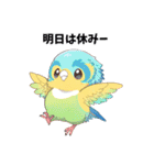 可愛いすぎる！セキセイインコだらけ（個別スタンプ：31）