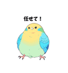 可愛いすぎる！セキセイインコだらけ（個別スタンプ：38）