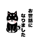 黒柴犬の日常使いできる可愛いスタンプ♬（個別スタンプ：37）