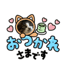 にゃん吉スタンプ☆ねこ（個別スタンプ：18）