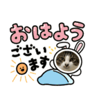 にゃん吉スタンプ☆ねこ（個別スタンプ：24）