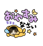 にゃん吉スタンプ☆ねこ（個別スタンプ：35）