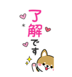 敬語スタンプ♡豆柴・柴犬【BIG】（個別スタンプ：7）