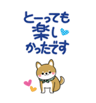 敬語スタンプ♡豆柴・柴犬【BIG】（個別スタンプ：19）