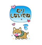 敬語スタンプ♡豆柴・柴犬【BIG】（個別スタンプ：28）