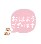 可愛すぎる柴犬ちゃん♡吹き出し（個別スタンプ：1）