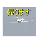 飛行機のつぶやき016（個別スタンプ：4）