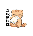 温泉ねこ きなこ3（夏）（個別スタンプ：24）