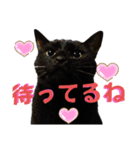 我が家の黒猫の福ちゃん❪ 返し言葉❫（個別スタンプ：4）