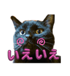 我が家の黒猫の福ちゃん❪ 返し言葉❫（個別スタンプ：5）