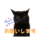 我が家の黒猫の福ちゃん❪ 返し言葉❫（個別スタンプ：7）