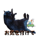 我が家の黒猫の福ちゃん❪ 返し言葉❫（個別スタンプ：8）