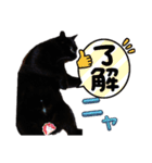 我が家の黒猫の福ちゃん❪ 返し言葉❫（個別スタンプ：9）