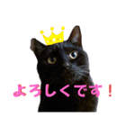 我が家の黒猫の福ちゃん❪ 返し言葉❫（個別スタンプ：10）