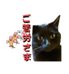 我が家の黒猫の福ちゃん❪ 返し言葉❫（個別スタンプ：11）