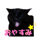 我が家の黒猫の福ちゃん❪ 返し言葉❫（個別スタンプ：12）