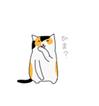 なんとも言えない猫vol.3（個別スタンプ：15）