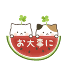 ねこたちの夏（個別スタンプ：36）