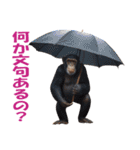 傘を持つ動物たち（個別スタンプ：9）