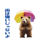 傘を持つ動物たち（個別スタンプ：10）