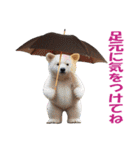 傘を持つ動物たち（個別スタンプ：23）