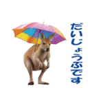 傘を持つ動物たち（個別スタンプ：26）