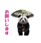 傘を持つ動物たち（個別スタンプ：29）