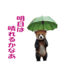 傘を持つ動物たち（個別スタンプ：33）