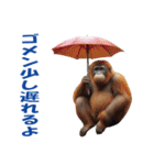 傘を持つ動物たち（個別スタンプ：36）