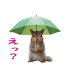 傘を持つ動物たち（個別スタンプ：39）