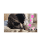 あぐくんの日常3（個別スタンプ：5）