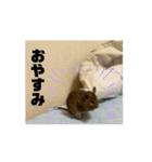 サヤカが飼ってる動物スタンプ＾＾（個別スタンプ：3）