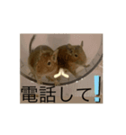 サヤカが飼ってる動物スタンプ＾＾（個別スタンプ：4）