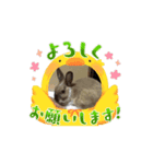 うさぎ動くスタンプ（個別スタンプ：7）