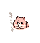 ピンクのふわふわ猫（個別スタンプ：9）