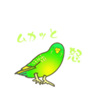 はるのひインコ（個別スタンプ：5）