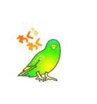 はるのひインコ（個別スタンプ：7）