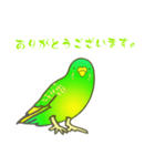 はるのひインコ（個別スタンプ：8）