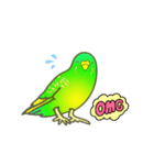 はるのひインコ（個別スタンプ：9）