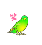 はるのひインコ（個別スタンプ：11）