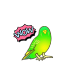 はるのひインコ（個別スタンプ：12）