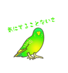 はるのひインコ（個別スタンプ：13）