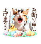 にゃ！毎日使える三毛猫こねこちゃん 再販（個別スタンプ：32）