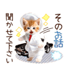 にゃ！毎日使える三毛猫こねこちゃん 再販（個別スタンプ：33）