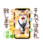 にゃ！毎日使える三毛猫こねこちゃん 再販（個別スタンプ：39）