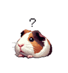 ドット絵 モルモット 定番 日常会話（個別スタンプ：19）