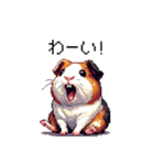 ドット絵 モルモット 定番 日常会話（個別スタンプ：21）