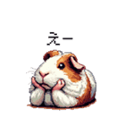 ドット絵 モルモット 定番 日常会話（個別スタンプ：23）