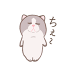 ぼうみたいなねこ（個別スタンプ：12）