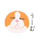 ぼうみたいなねこ（個別スタンプ：23）